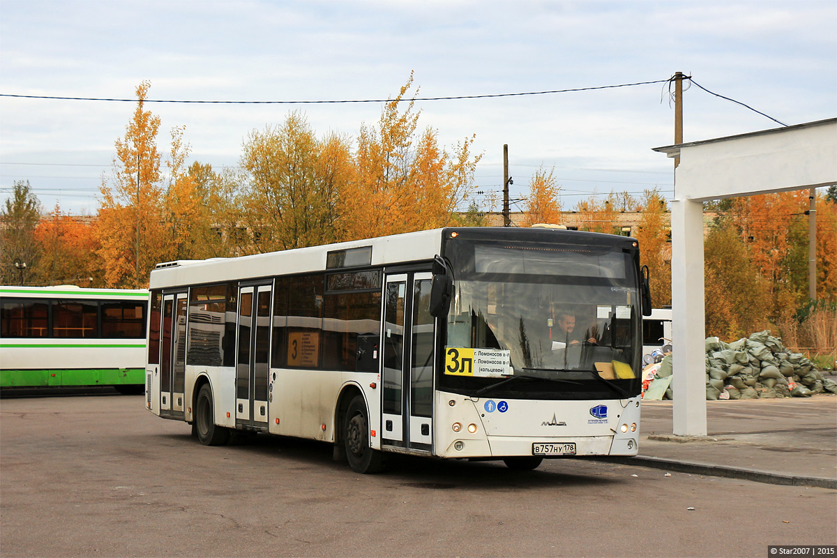 Санкт-Петербург, МАЗ-203.067 № 109