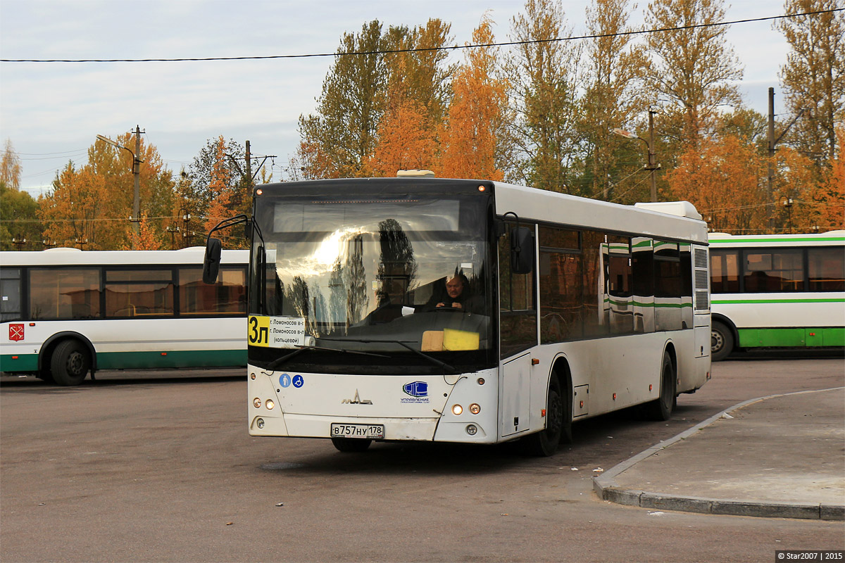 Санкт-Петербург, МАЗ-203.067 № 109