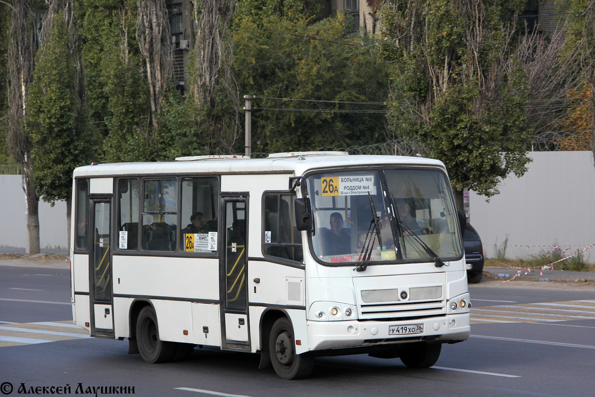 Воронежская область, ПАЗ-320402-03 № У 419 ХО 36