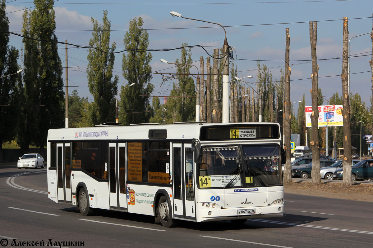 Воронежская область, МАЗ-103.469 № У 847 ХК 36