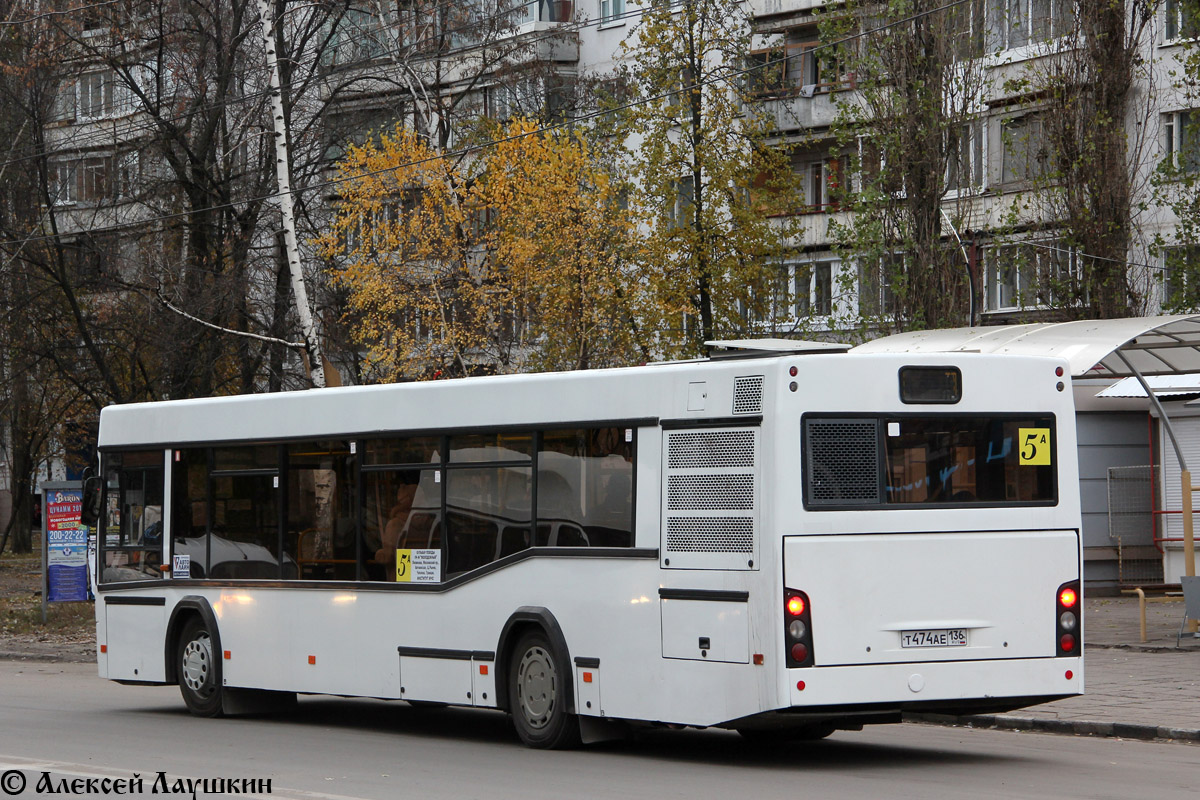 Воронежская область, МАЗ-103.465 № Т 474 АЕ 136