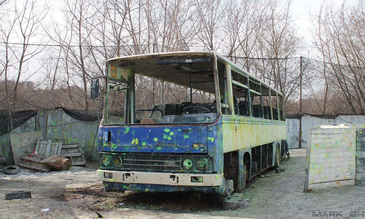 Московская область, Ikarus 256.51 № С 556 УУ 90