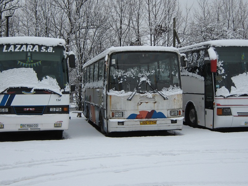 Львовская область, ЛАЗ-4207 № BC 0356 AA