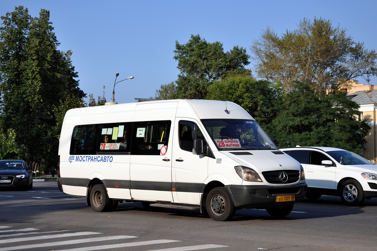 Московская область, Луидор-22340C (MB Sprinter 515CDI) № 1089