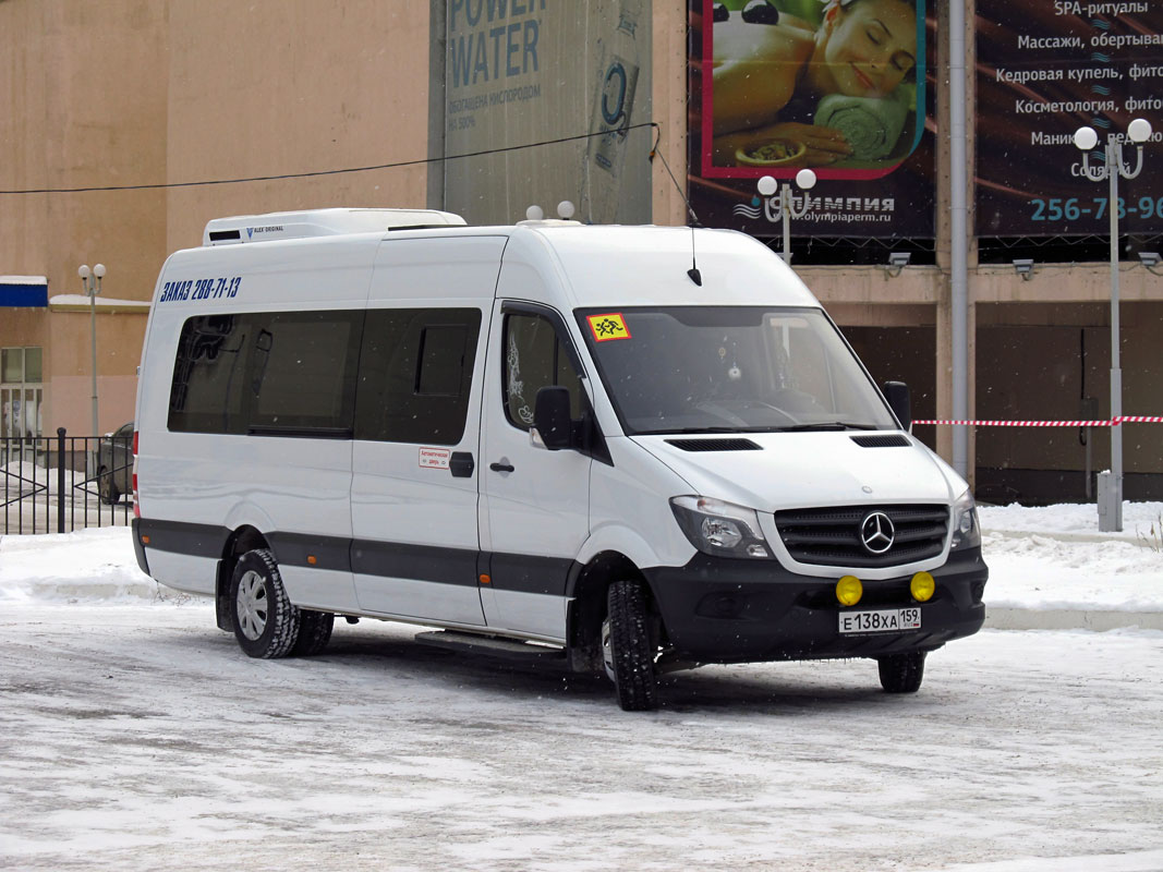 Пермский край, Луидор-223602 (MB Sprinter) № Е 138 ХА 159