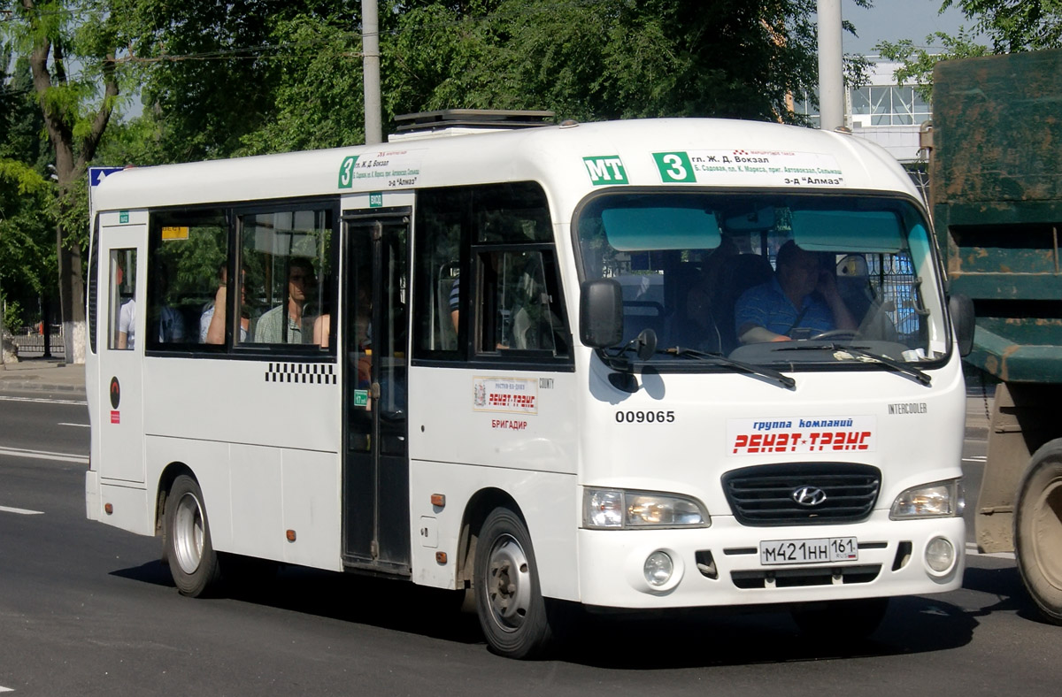 Ростовская область, Hyundai County LWB C09 (ТагАЗ) № 009065