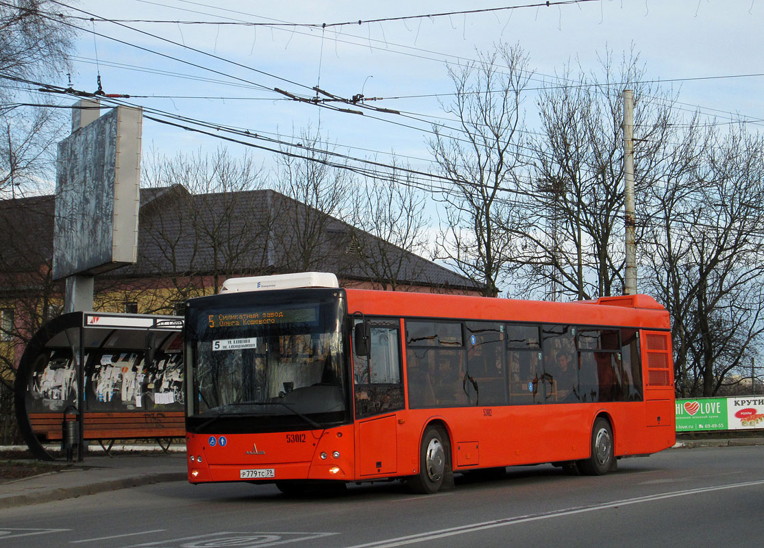 Калининградская область, МАЗ-203.085 № 53012