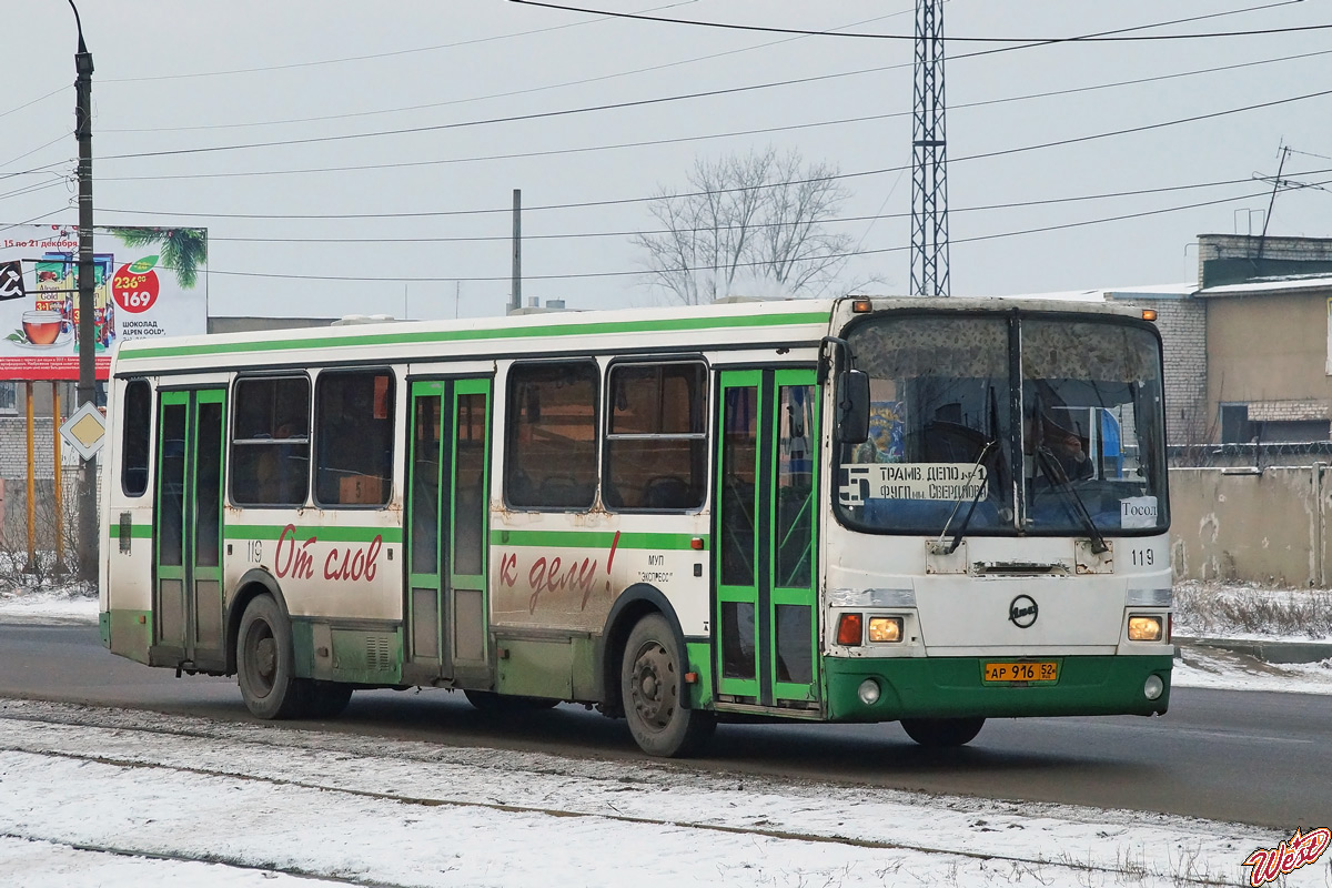 Нижегородская область, ЛиАЗ-5256.35 № 119