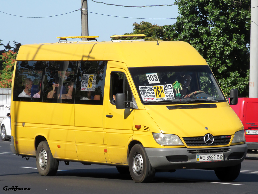 Днепропетровская область, Mercedes-Benz Sprinter W903 313CDI № AE 8522 BX