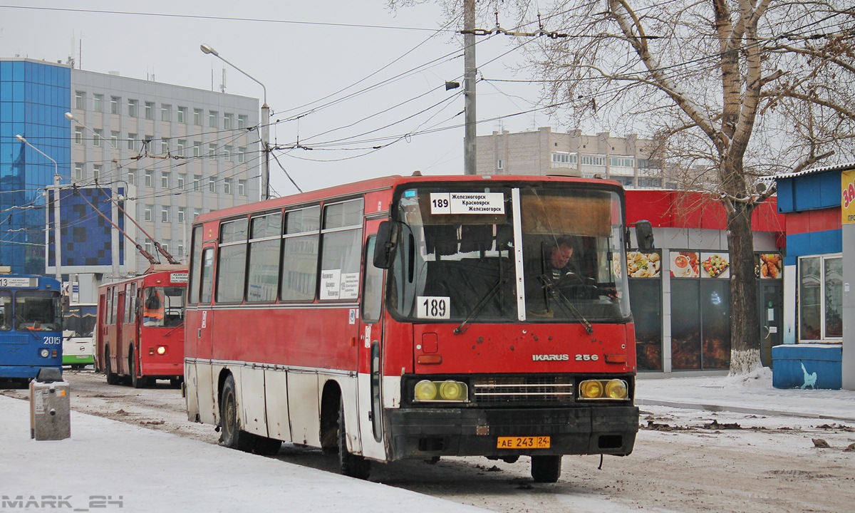 Красноярский край, Ikarus 256.74 № АЕ 243 24