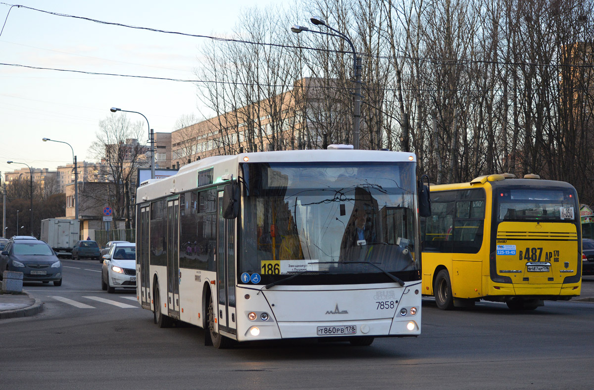 Санкт-Петербург, МАЗ-203.085 № 7858