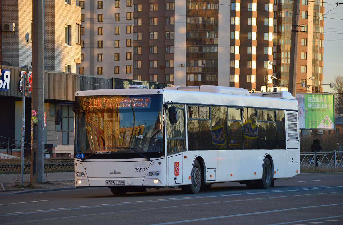 Санкт-Петербург, МАЗ-203.085 № 7859