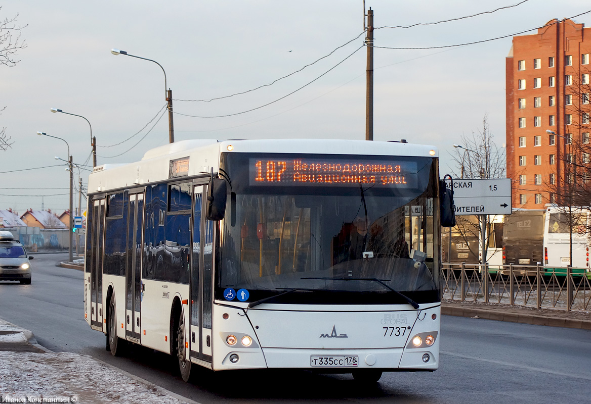 Санкт-Петербург, МАЗ-203.085 № 7737