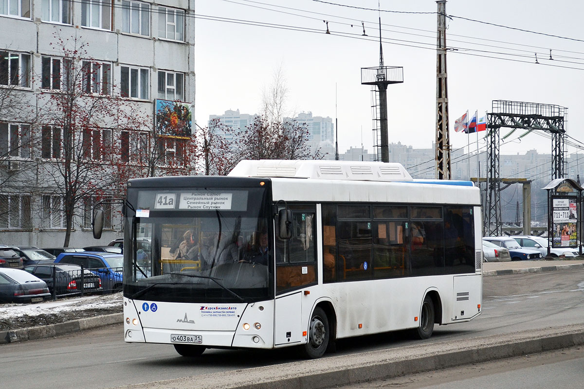 Белгородская область, МАЗ-206.085 № О 403 ВА 31 — Фото — Автобусный  транспорт