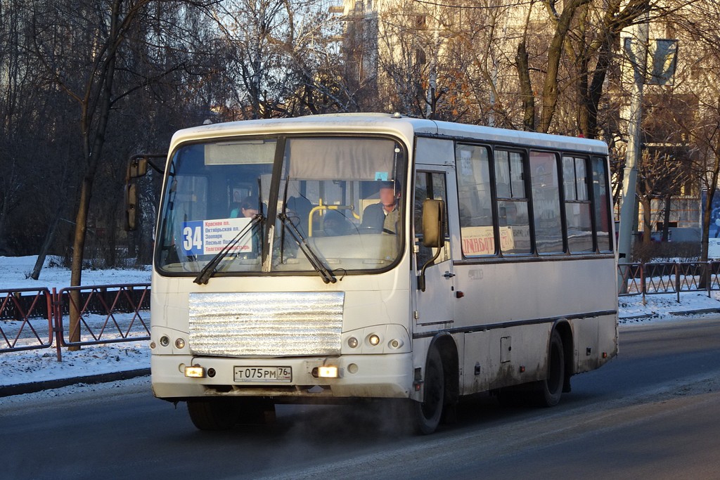 Ярославская область, ПАЗ-320402-03 № 3255