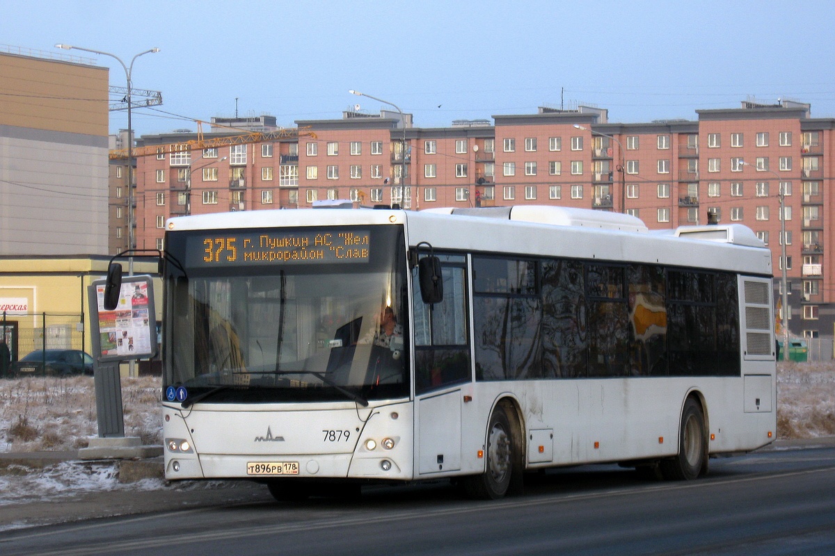 Санкт-Петербург, МАЗ-203.085 № 7879