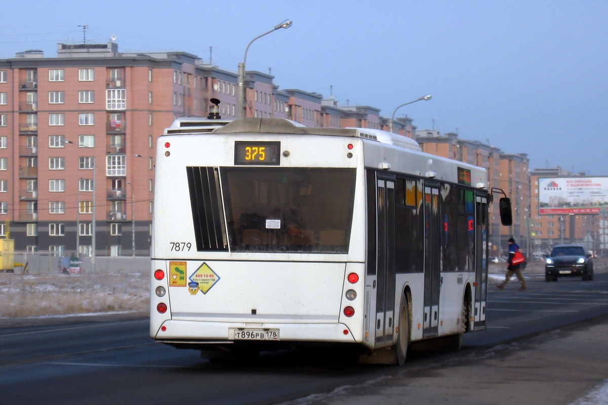 Санкт-Петербург, МАЗ-203.085 № 7879