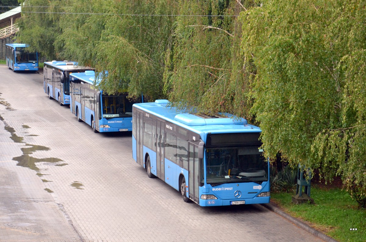 Венгрия, Mercedes-Benz O530 Citaro № LYH-116