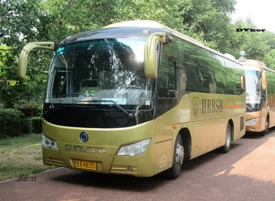 Китай, Sunlong SLK6112F5A3 № 黑A H8205
