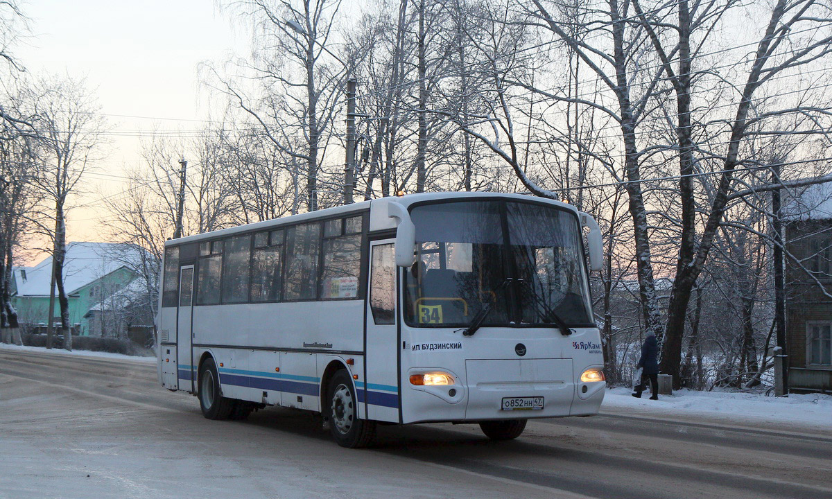 Ленинградская область, КАвЗ-4238-42 № О 852 НН 47