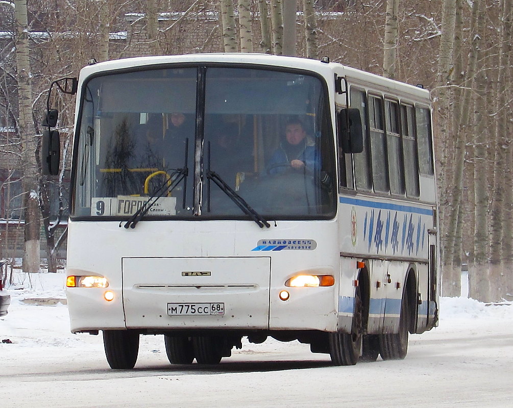 Тамбовская область, ПАЗ-4230-01 (2-2) № М 775 СС 68