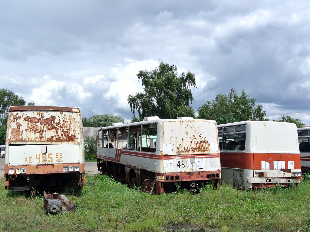 Tambov region, Ikarus 256.75 № АЕ 495 68; Tambov region, Ikarus 256.75 № АЕ 496 68; Tambov region, Ikarus 256.51 № АВ 151 68