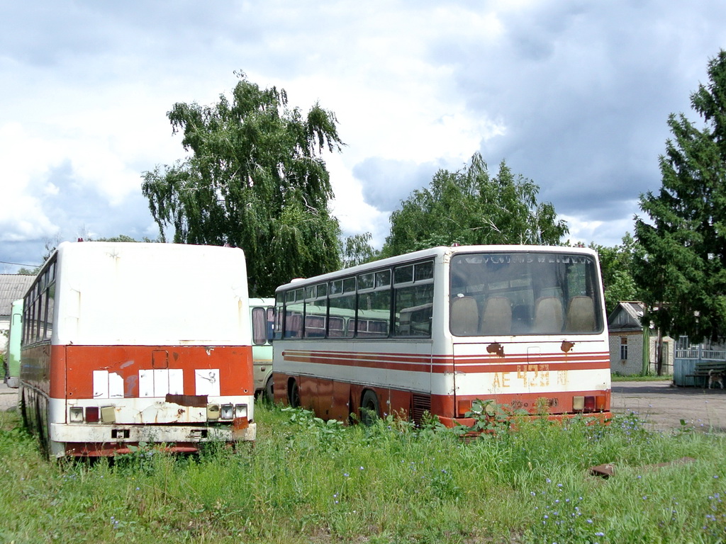 Тамбовская область, Ikarus 256.51 № АВ 151 68; Тамбовская область, Ikarus 256.51 № АЕ 428 68