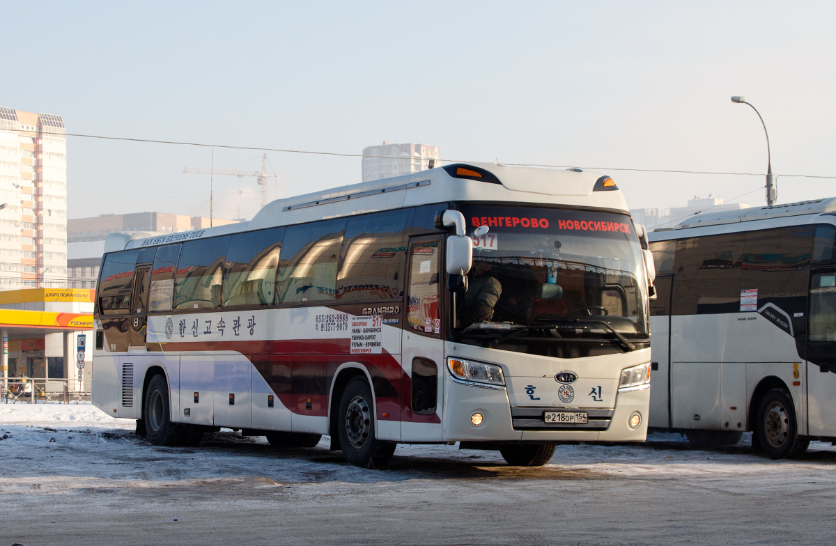 Новосибирская область, Kia KM959S Granbird Parkway № Р 218 ОР 154