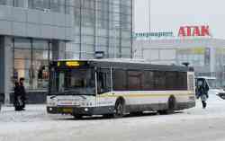 393 КБ