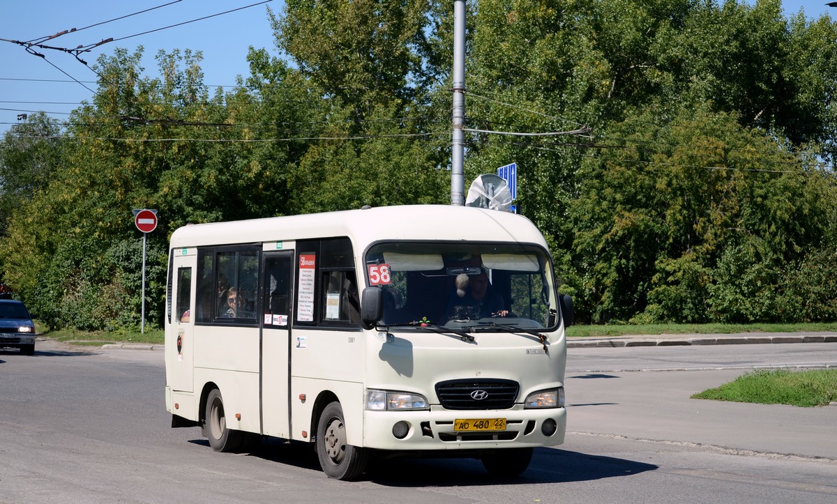 Алтайский край, Hyundai County SWB (РЗГА) № АО 480 22