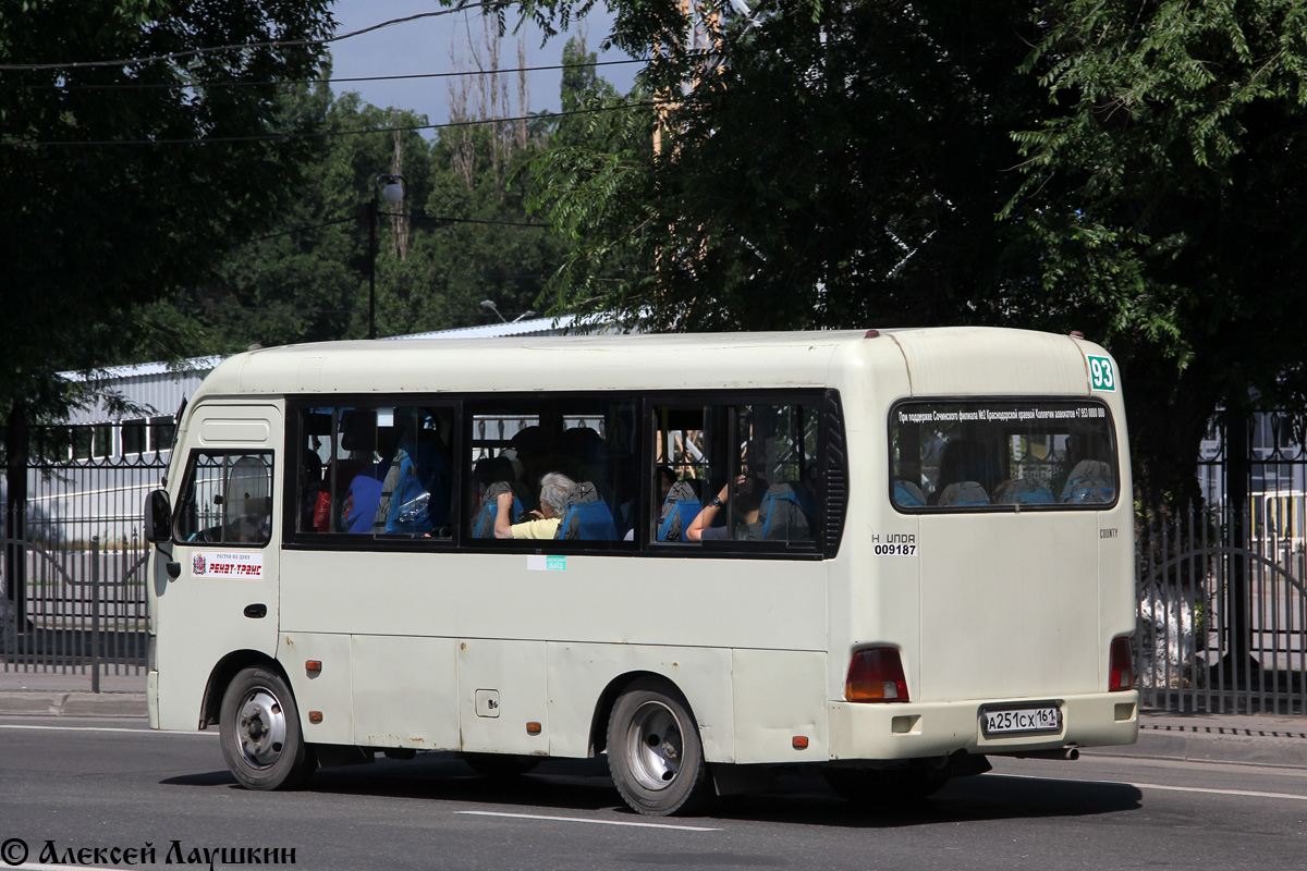 Ростовская область, Hyundai County SWB C08 (РЗГА) № 009187