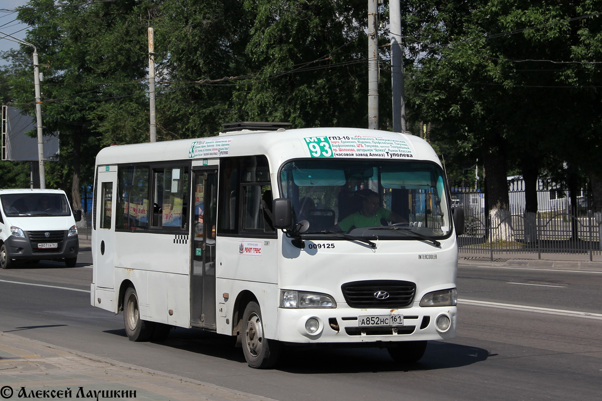 Ростовская область, Hyundai County LWB C09 (ТагАЗ) № 009125