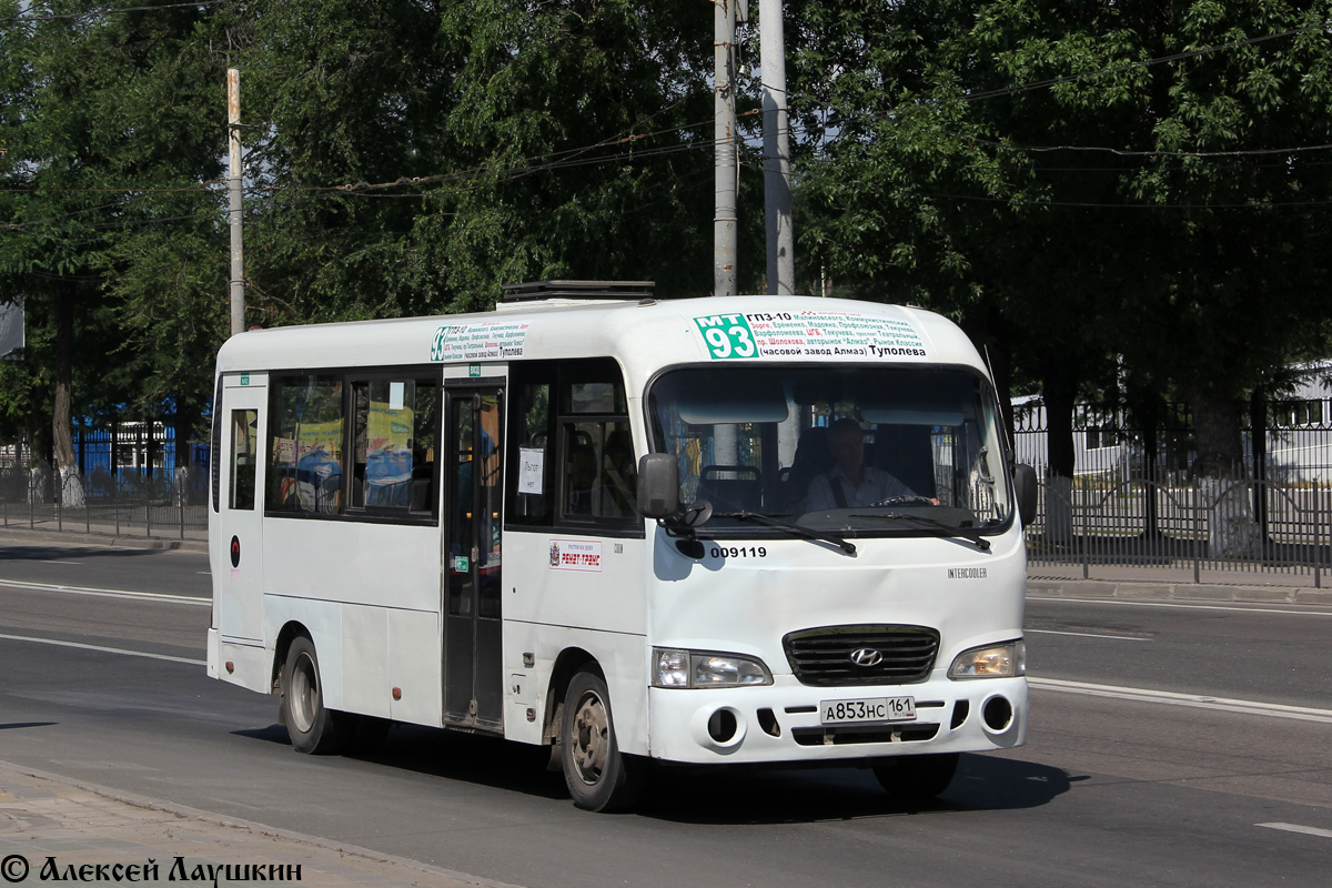 Ростовская область, Hyundai County LWB C09 (ТагАЗ) № 009119