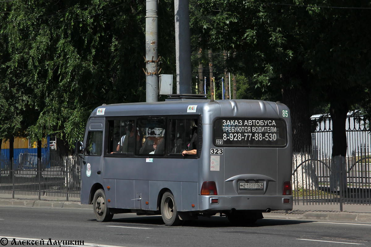 Rostov region, Hyundai County SWB C08 (TagAZ) # 323