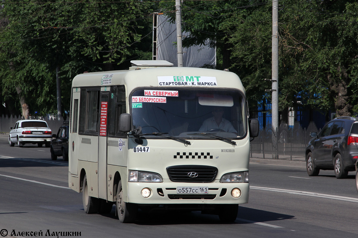 Ростовская область, Hyundai County SWB C08 (РЗГА) № 01447