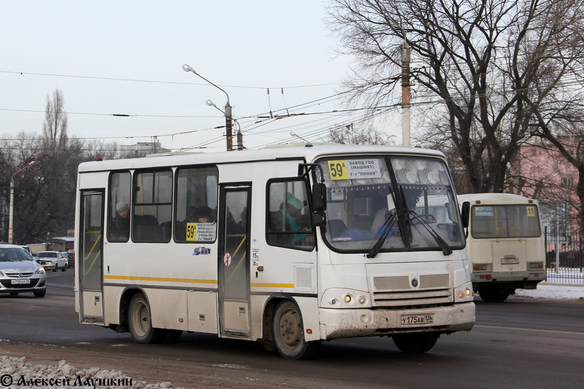 Воронежская область, ПАЗ-320302-08 № У 175 АВ 136