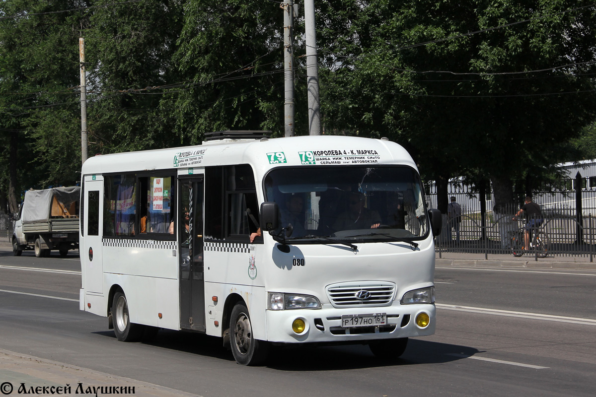 Ростовская область, Hyundai County LWB C09 (ТагАЗ) № 080