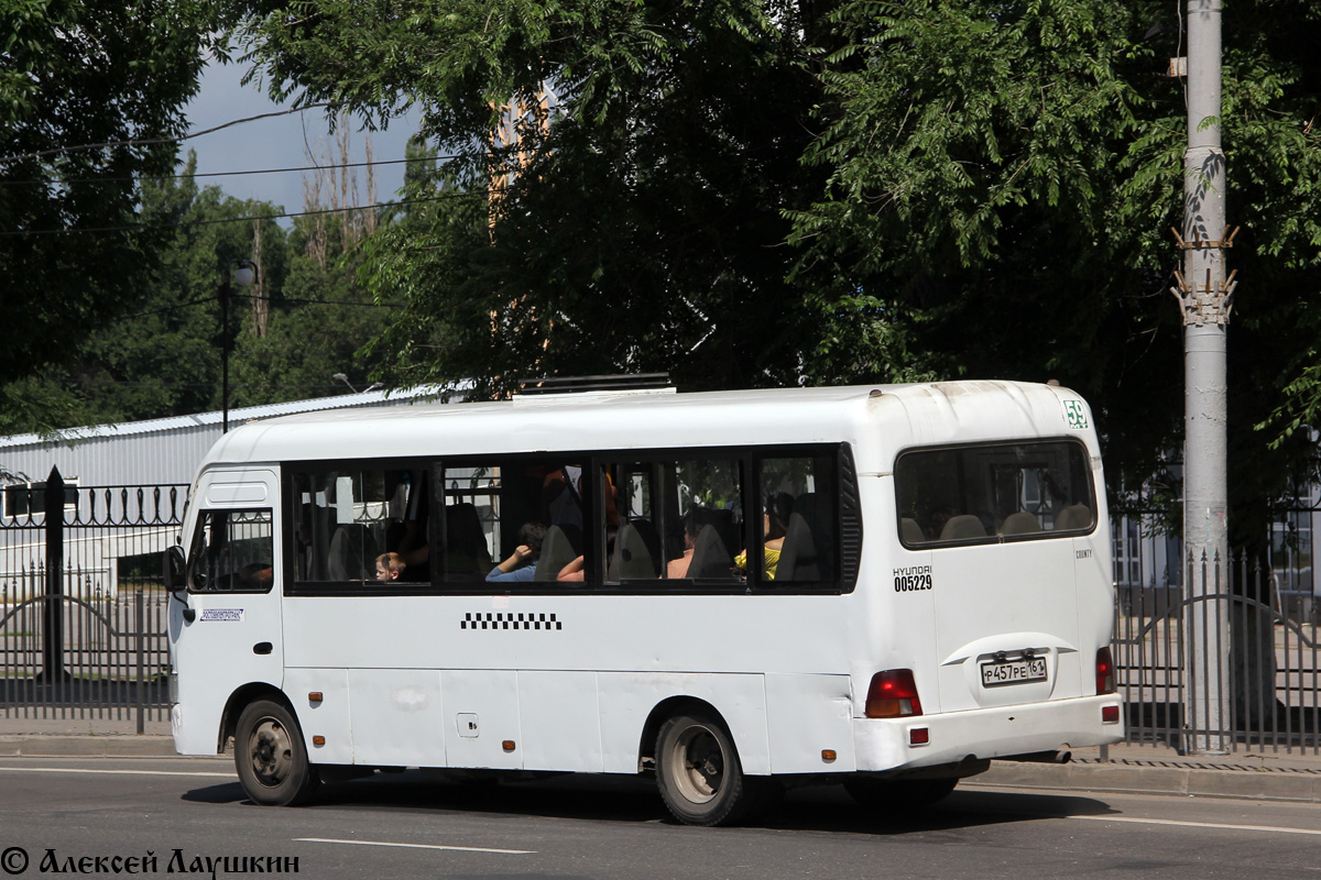 Ростовская область, Hyundai County LWB C11 (ТагАЗ) № 005229