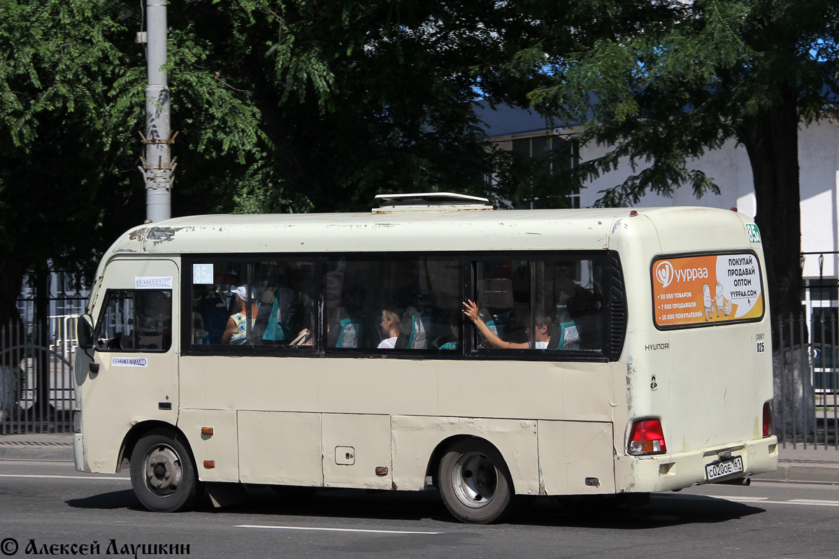 Ростовская область, Hyundai County SWB C08 (РЗГА) № 025