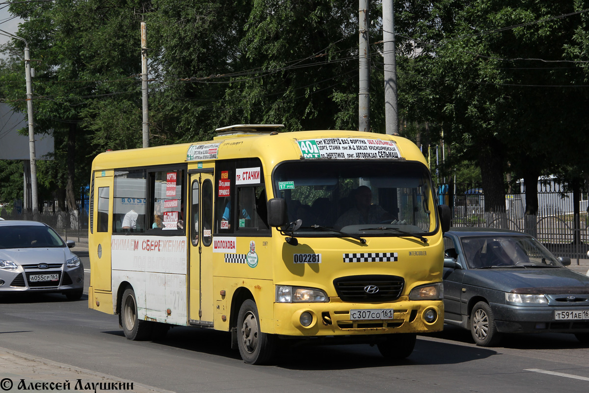 Ростовская область, Hyundai County LWB C11 (ТагАЗ) № 002281