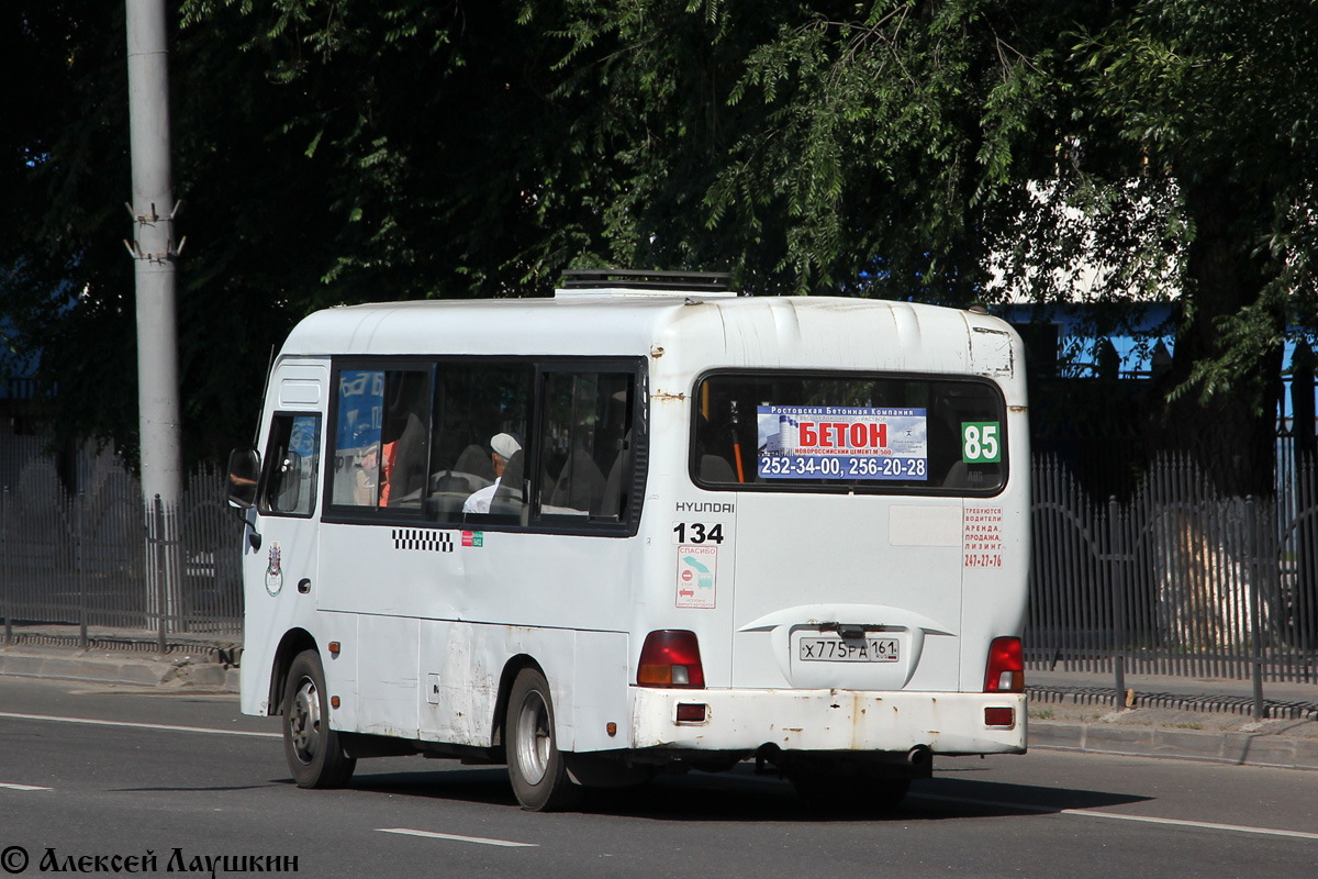 Ростовская область, Hyundai County SWB C08 (ТагАЗ) № 134