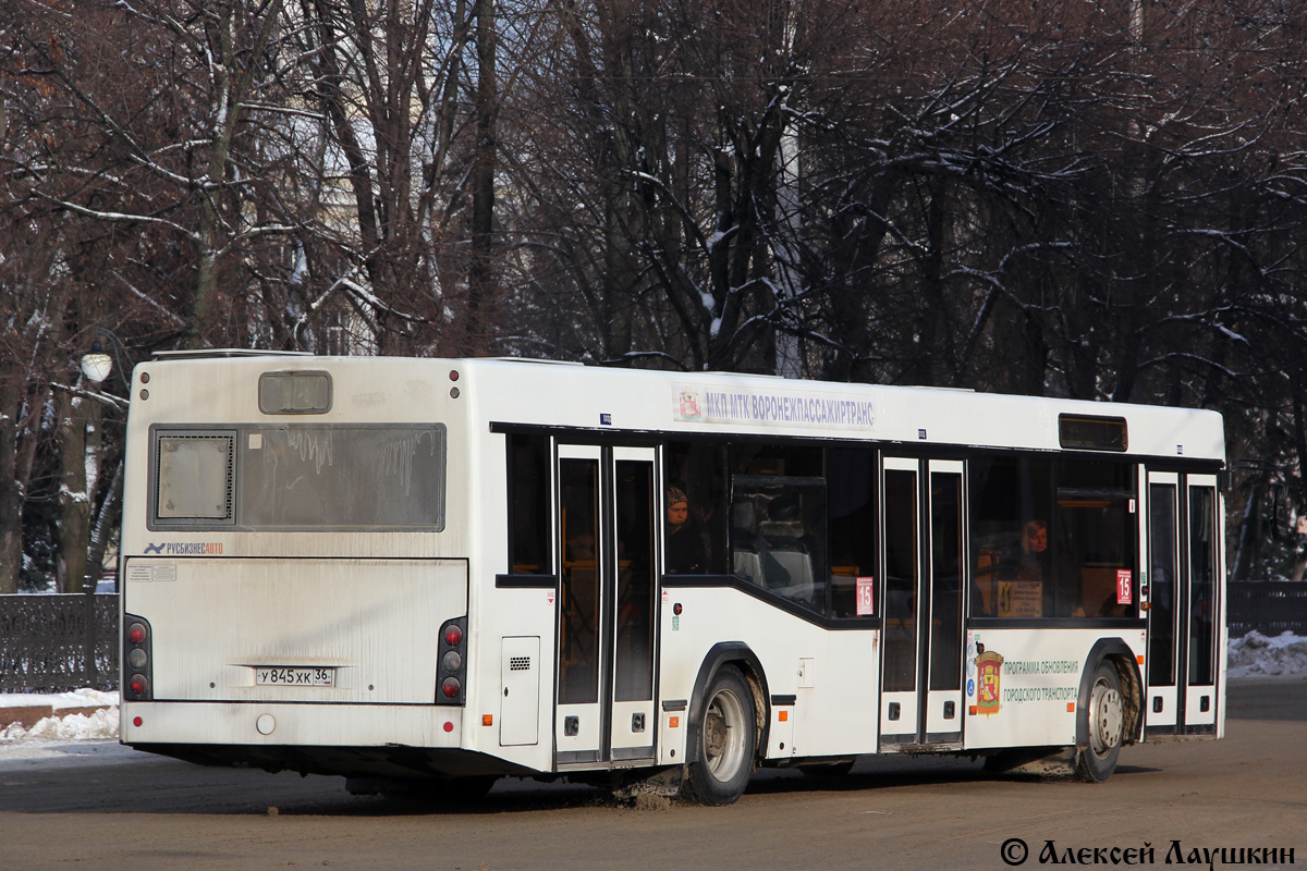 Воронежская область, МАЗ-103.469 № У 845 ХК 36