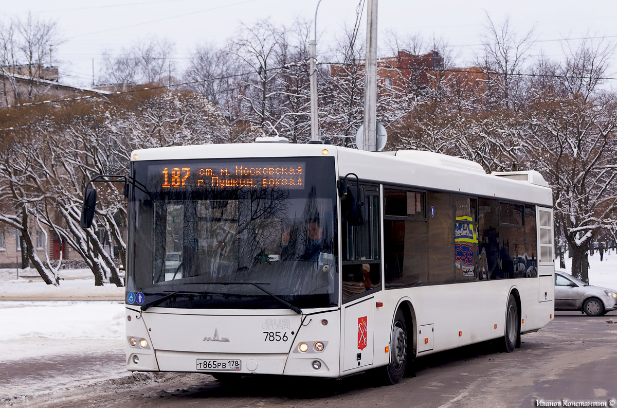 Санкт-Петербург, МАЗ-203.085 № 7856