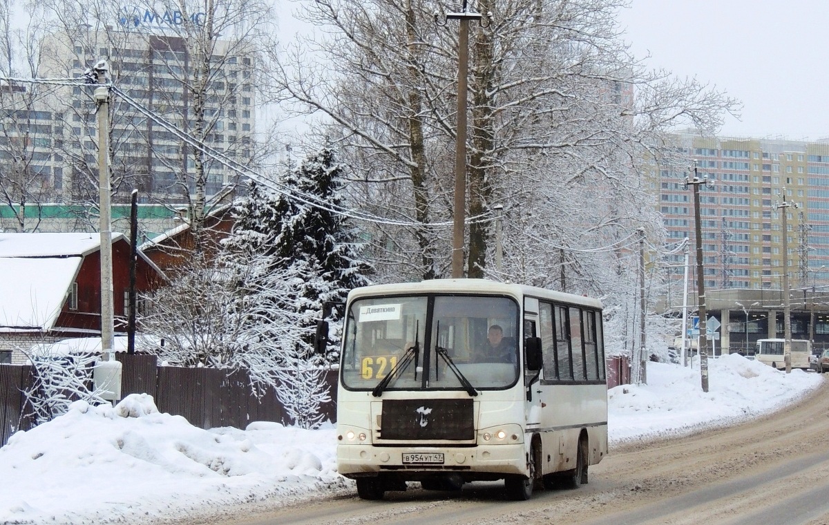 Ленинградская область, ПАЗ-320402-05 № В 954 УТ 47