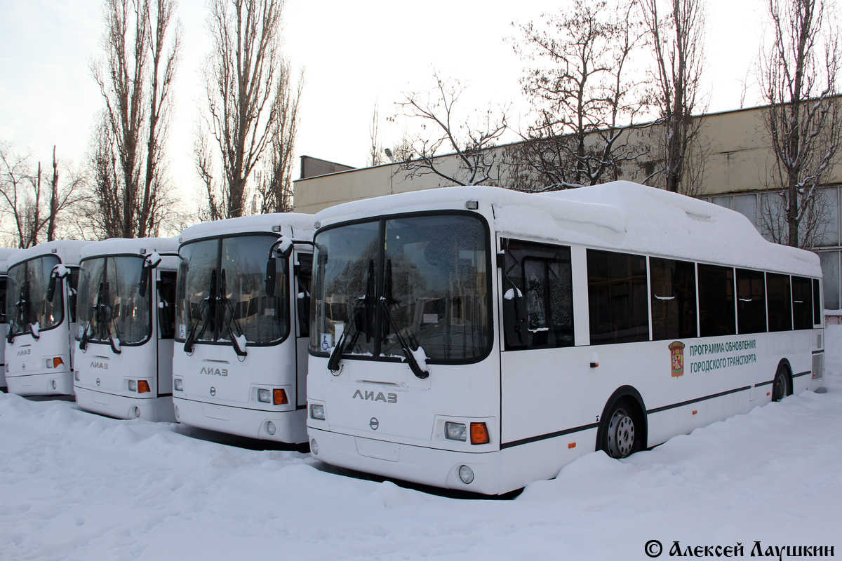 Воронежская область — Новые автобусы