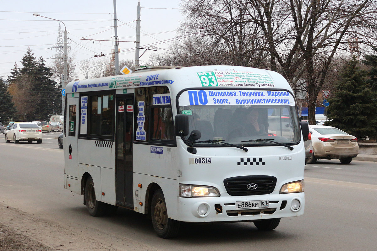 Ростовская область, Hyundai County SWB C08 (ТагАЗ) № 00314