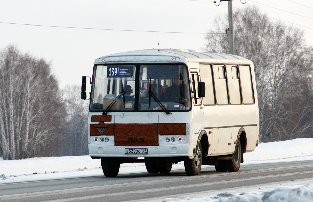Новосибирская область, ПАЗ-32054 № Е 530 ОС 154