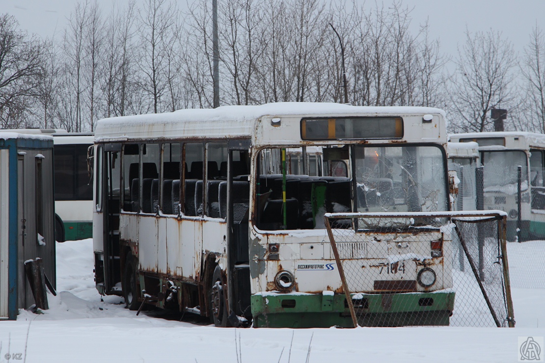 Санкт-Петербург, ЛиАЗ-5256.00-11 № 7104