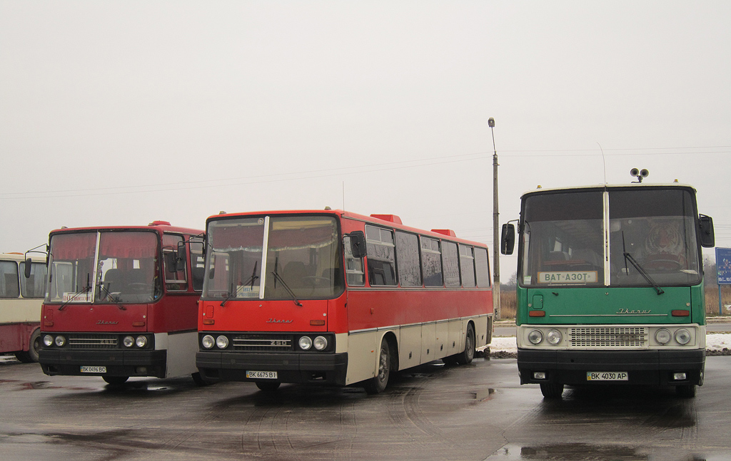 Ровненская область, Ikarus 256.54 № BK 0496 BC; Ровненская область, Ikarus 250.59 № BK 6675 BI; Ровненская область, Ikarus 250.58 № BK 4030 AP; Ровненская область — Разные фотографии