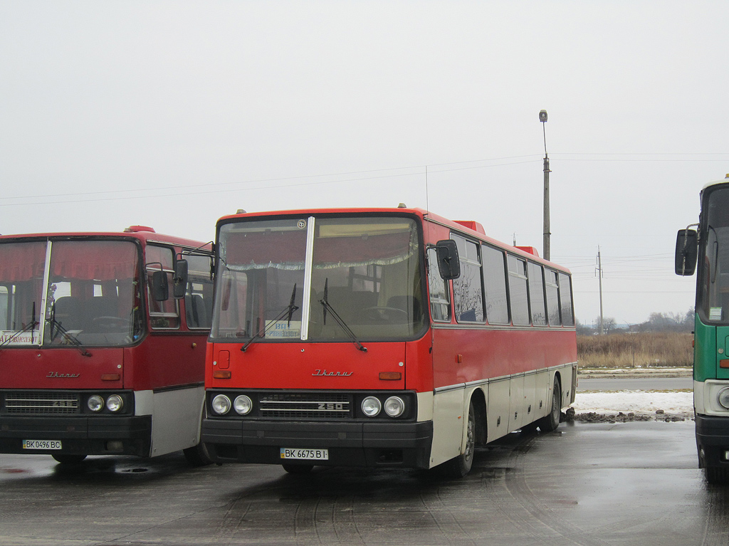 Ровненская область, Ikarus 250.59 № BK 6675 BI